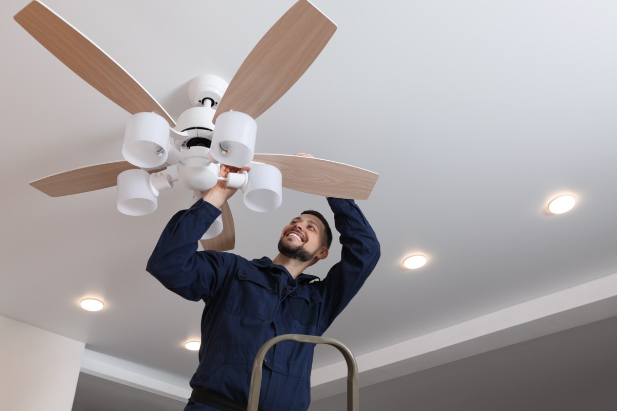 zaz-electical-services-ceiling-fan